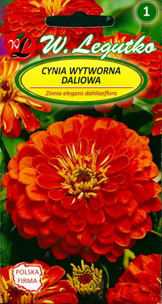 Elegant zinnia "Orange King"