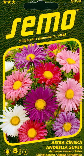 Aster "Andrella Super" mix