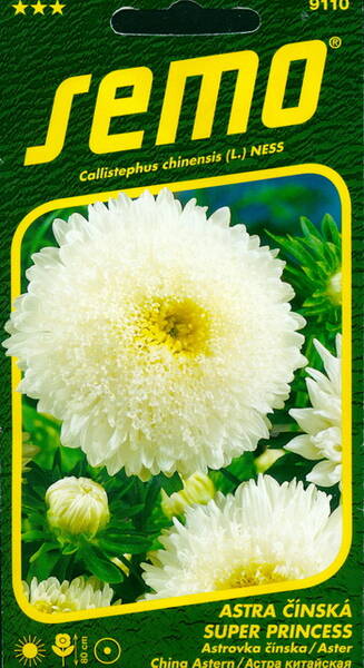 Астра "Супер Принцесса Белая"