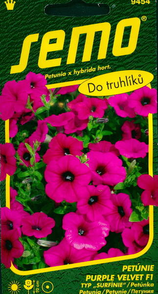 Hängpetunia "Purple Velvet" F1