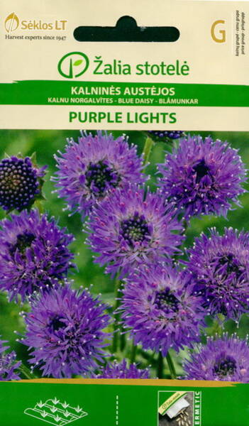 Franska Blåmunkar "Purple lights"
