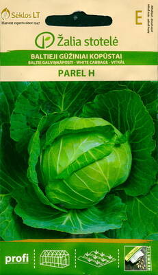 White cabbage "Parel" F1