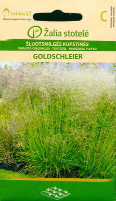 Nurmilauha "Goldschleier"