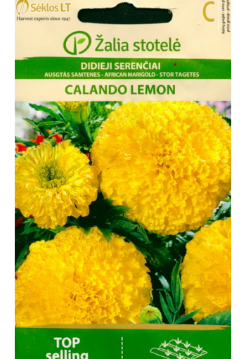 Marigold african "Calando Lemon"