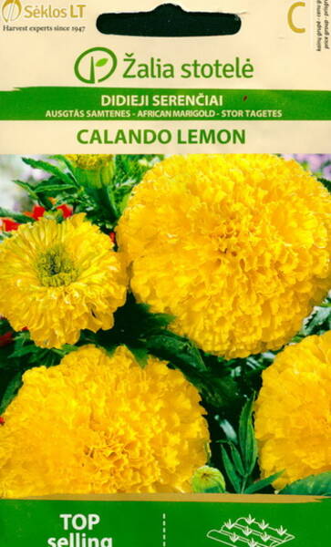 Sammetsblomster "Calando Lemon"