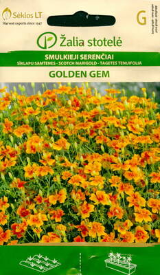 Peiulill madal "Golden Gem"