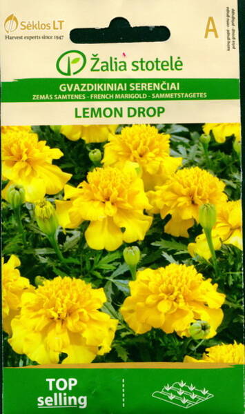 Peiulill madal "Lemon Drop"