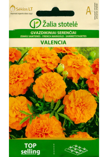 Marigold "Valencia"