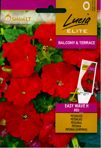 Petunia "Easy Wave Red" F1