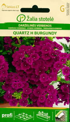 Aed-audürt hübriidne "Quartz Burgundy" F1