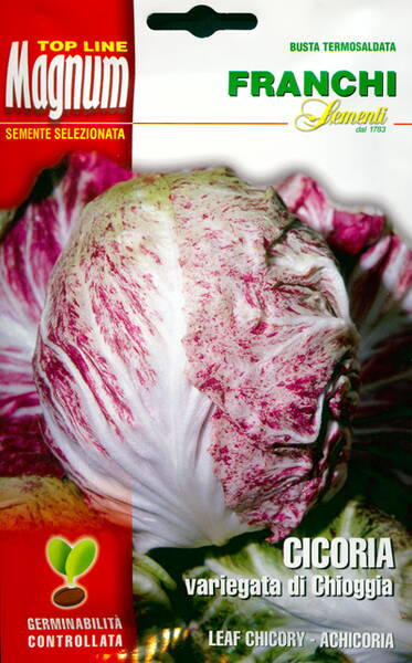 Sigursalat "Variegata di Chioggia"