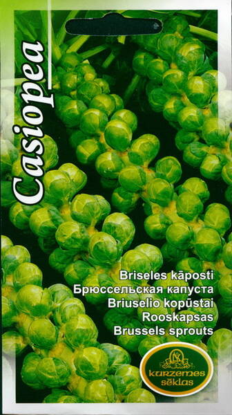 Rooskapsas "Casiopea"