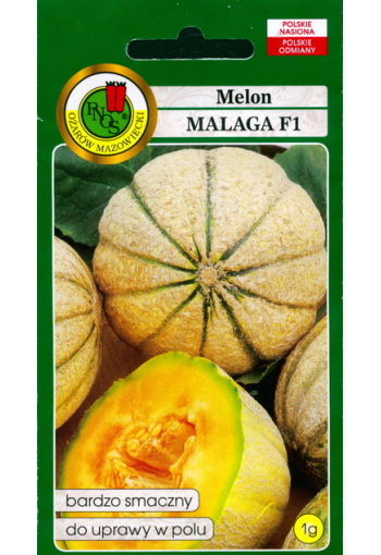 Melon "Malaga" F1