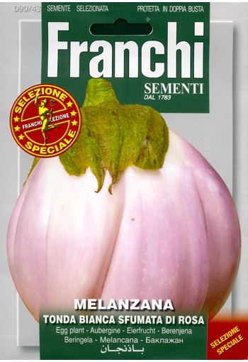 Eggplant "Tonda Bianca Sfumata Di Rosa"