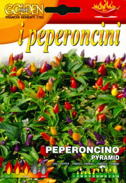 Koristepippuri "Pyramid" F1