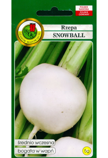 Lanttu "Snowball"