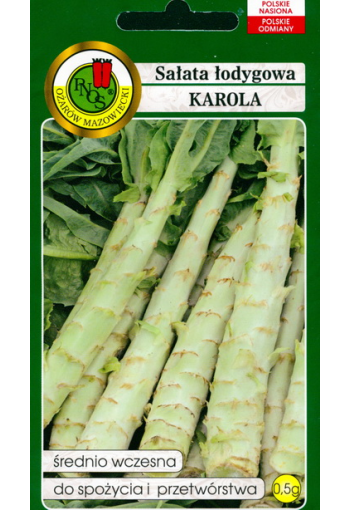 Stalk lettuce "Karola" (asparagus lettuce)