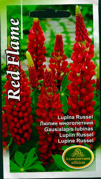 Lupiin hulgalehine "Russel Red Flame" 