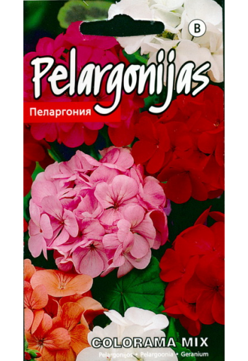 Пеларгония "Colorama" (смесь)
