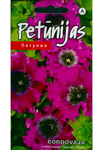 Petunia "Triumph Bordoo"