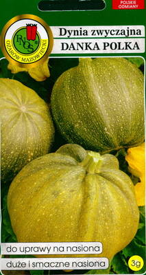 Pumpkin "Danka Polka"