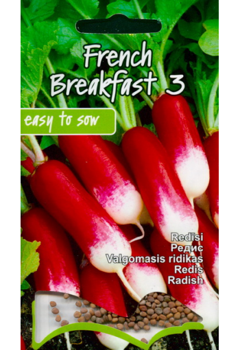 Radish "French Breakfast 4"