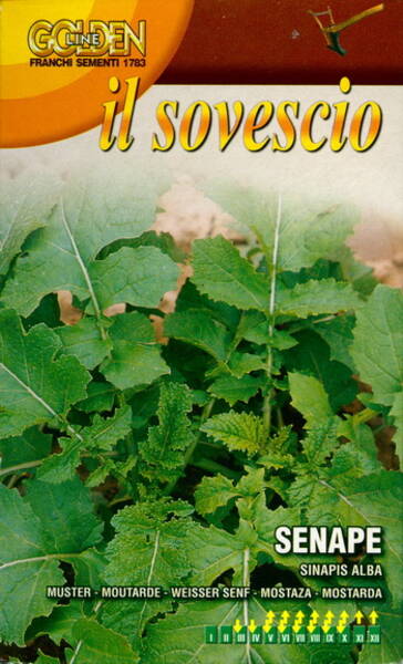 White Mustard "Bianca"