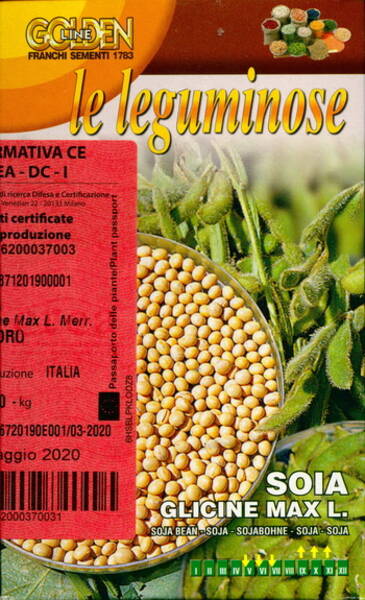 Soybean