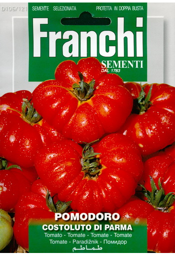 Tomaatti ''Costoluto di Parma"