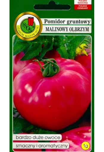 Tomato "Malinowy Olbrzym"