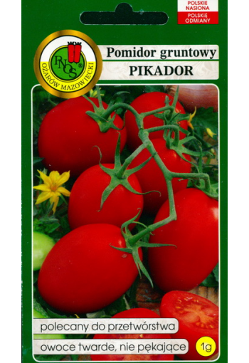 Tomat "Pikador"