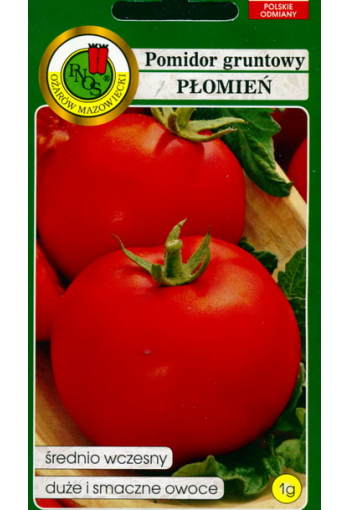 Tomato "Plomien"