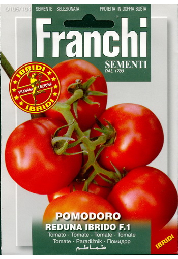 Tomato "Reduna" F1