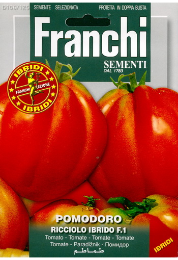 Tomaatti "Ricciolo" F1 (Pihvitomaatti)