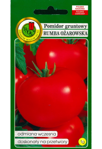 Tomato "Rumba Ozarowska"