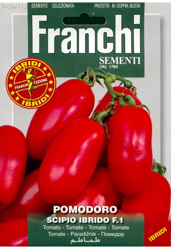 Tomato "Scipio" F1