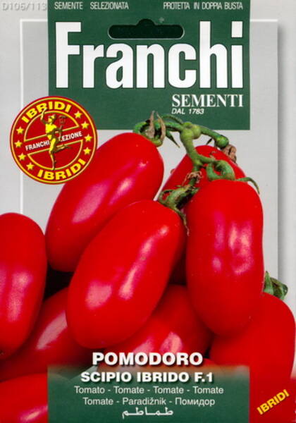 Tomato "Scipio" F1