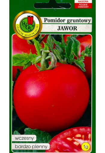 Tomato "Jawor"