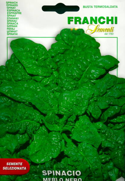 Spinach "Merlo Nero"