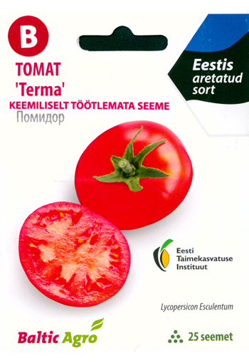 Tomaatti "Terma"