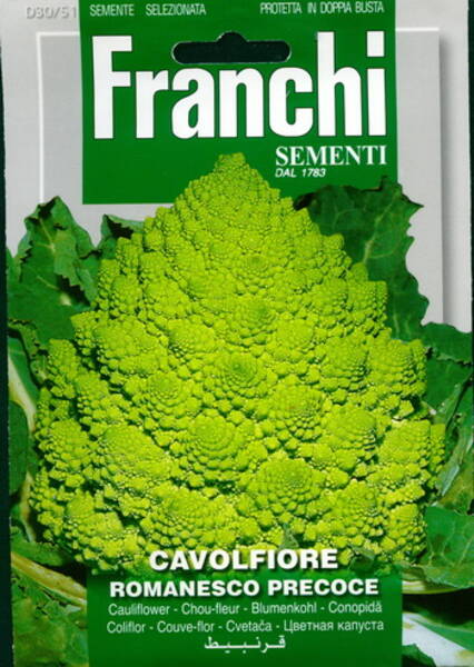 Cauliflower "Romanesco Precoce"