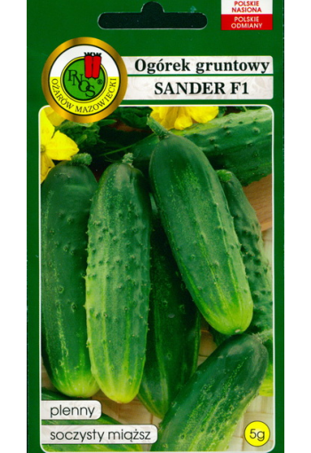 Cucumber "Sander" F1