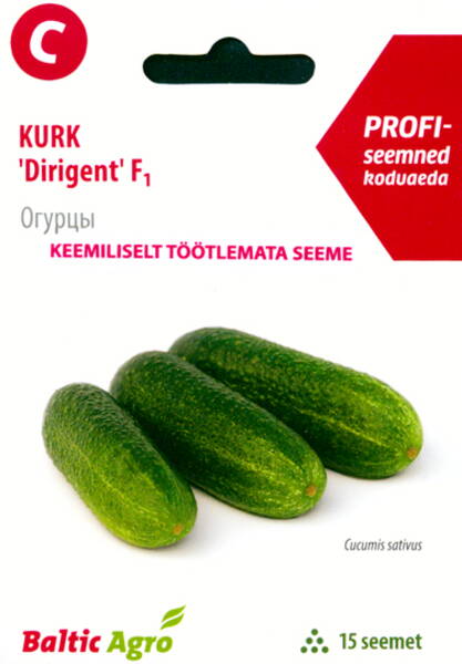Огурец "Дирижёр" F1 (Dirigent)