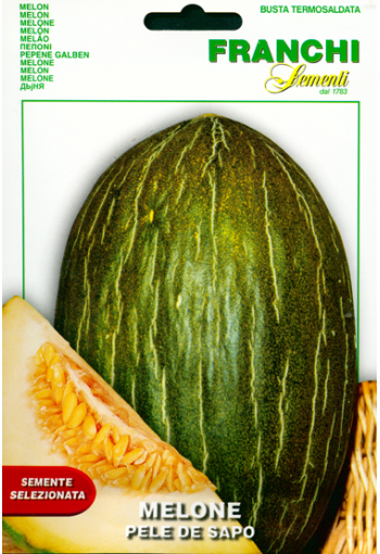 Melon "Pele de Sapo"