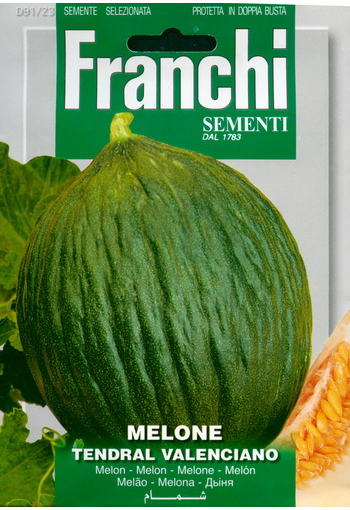 Melon "Tendral Valenciano"