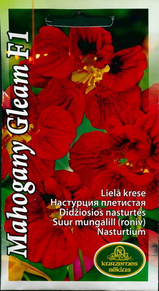 Nasturtium climbing "Mahagony Gleam"