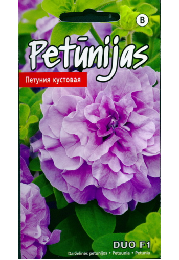 Petunia "Duo Lavender" F1
