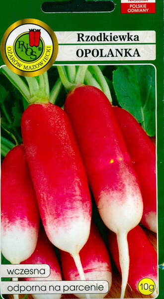 Radish "Opolanka"