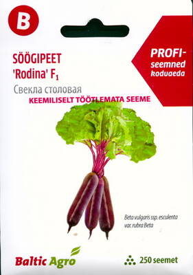 Red Beet ''Rodina''