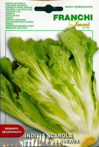 Eskariool "Cornetto di Bordeaux" (salatisigur)